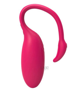 페기넷 폭시몽