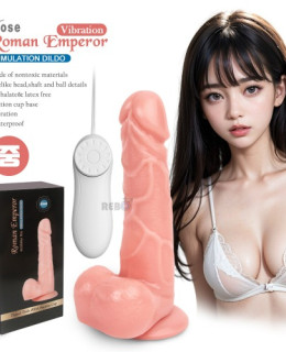 로만 엠페러 바이브 중
