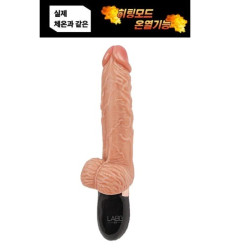다이나믹 맨 바이브 플러스