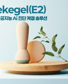 이케겔 E2 홈케어 디바이스